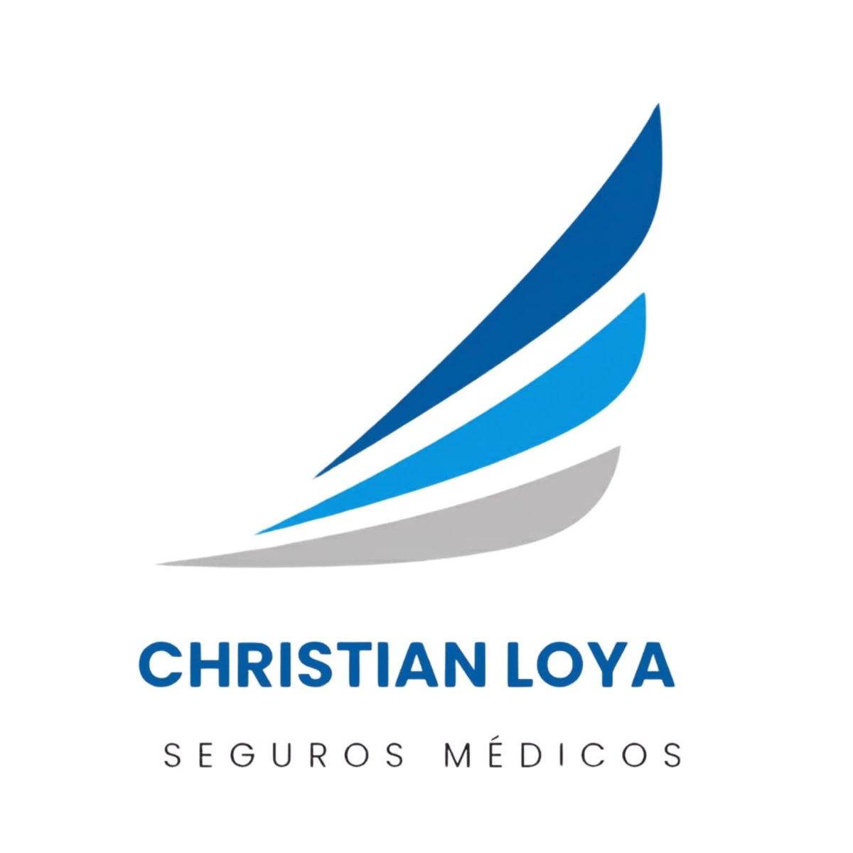 Christian Loya Seguros Medicos logo with blue and gray curved swoosh elements